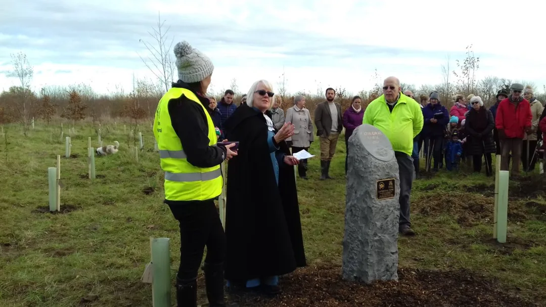 Picture